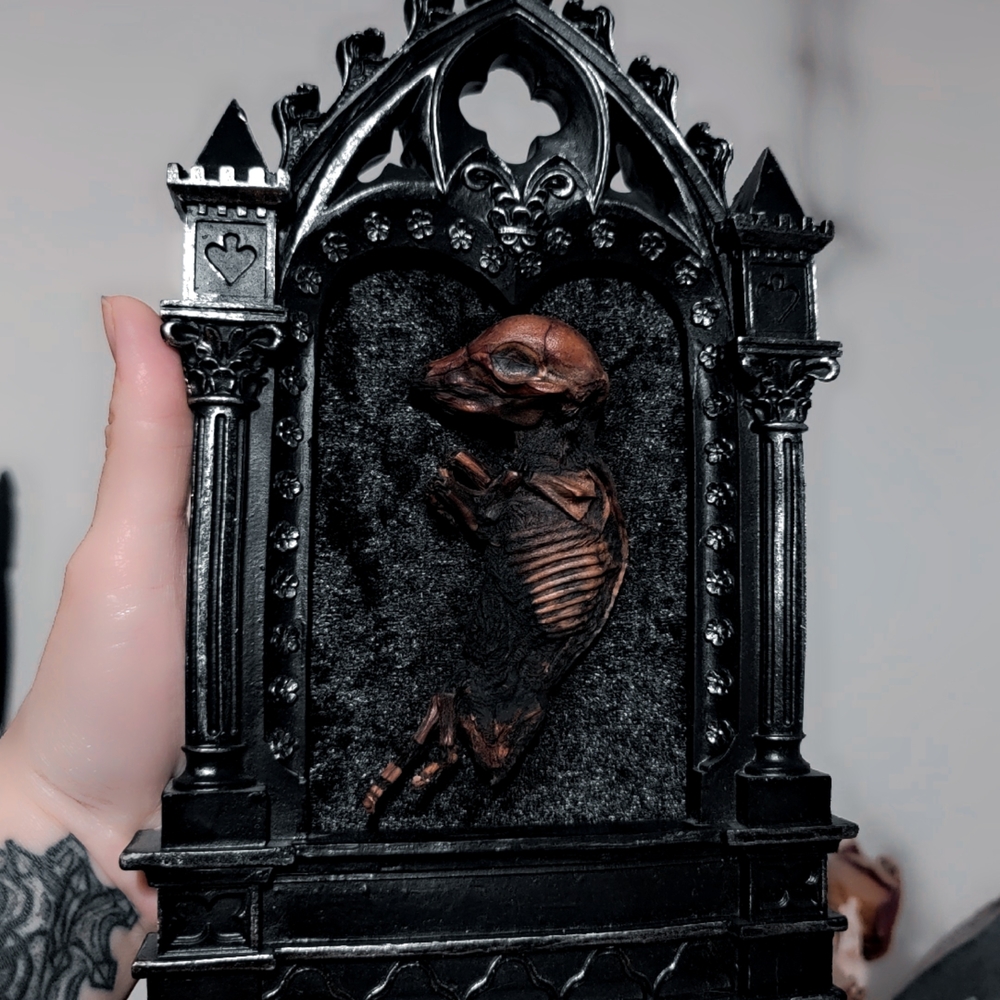 Gothic Mummified Piglet Display